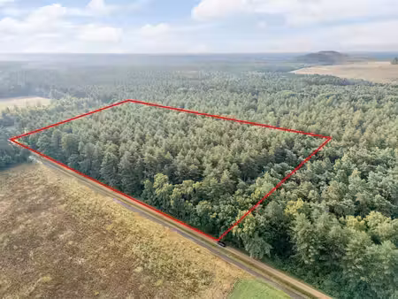 forêts