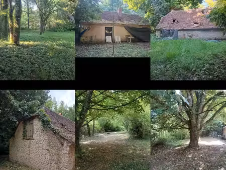 maison en pierre à rénover 60m2 sur 1500m2 de terrain arboré – la douze (24)