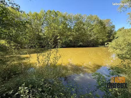 terrain 3975 m² velet