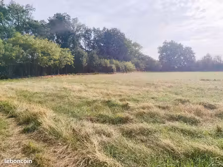 terrain 1361 m² tercé
