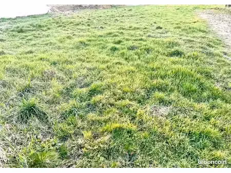terrain 419 m² peronnas
