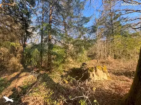 forêt 9 300 m² cognac la foret