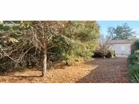 terrain arboré constructible