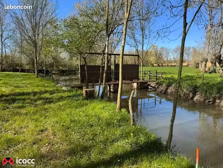 terrain 3 255 m² thire