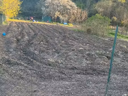 terrain agricole