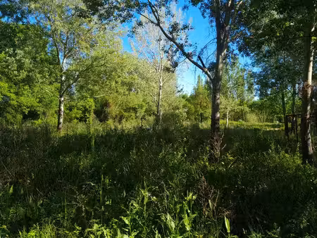loue terrain agricole en partie arboré