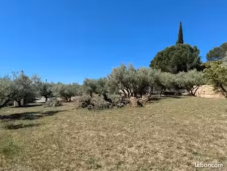 terrain agricole