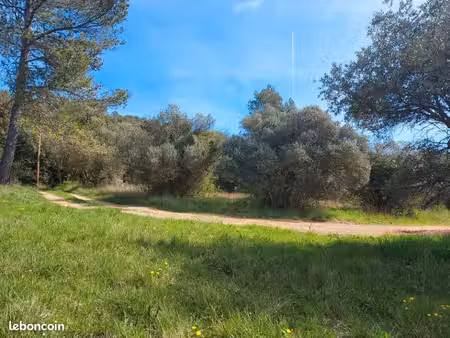 terrain 1 376 m² camps la source