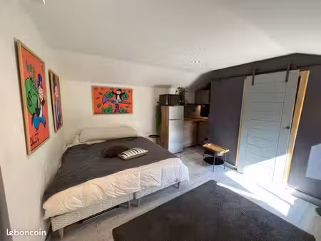 studio 18m2 plein centre