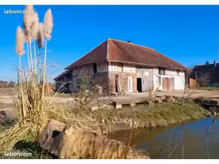 maison t6