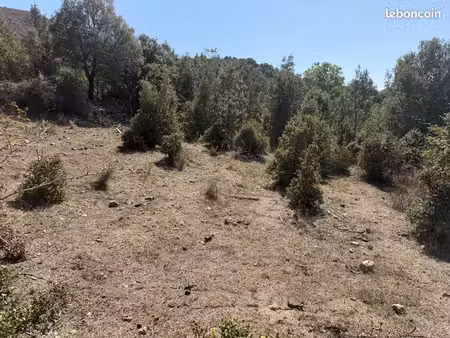 terrain 690 m² canavaggia