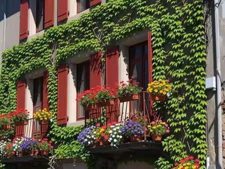 location vente possible / maison de village avec jardin et source