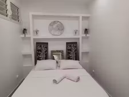 studio meublé + extension + jardin au cœur de pointe-à-pitre
