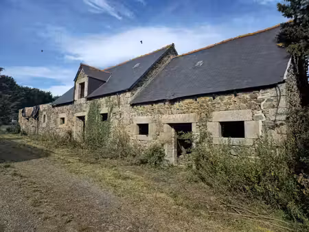 ensemble immobilier et verger