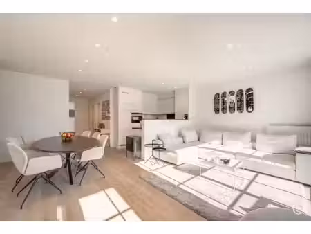 magnifique  spacieux et récent (2015) appartement avec 3 ch