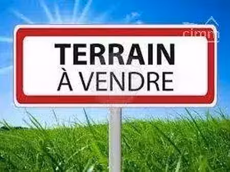 thierry hirson