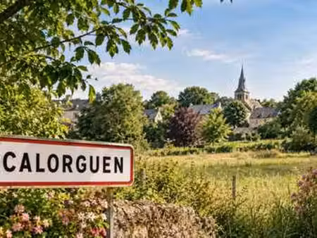 vente maison à calorguen (22100) : à vendre / 66m² calorguen