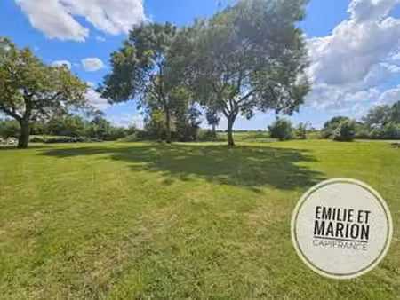 vente terrain à saint-georges-du-bois (17700) : à vendre / 1503m² saint-georges-du-bois