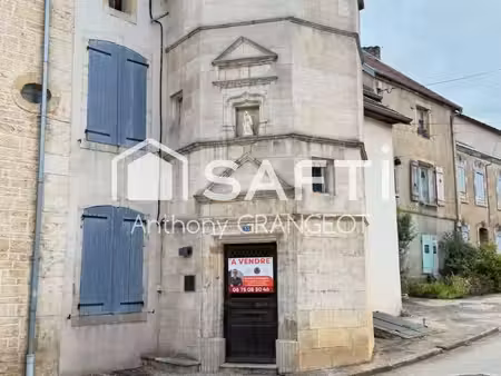 superbe maison de maitre avec jardin