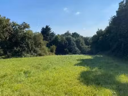 vente terrain à plomelin (29700) : à vendre / plomelin
