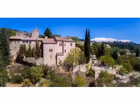 vente château 17 pièces 400 m² à aubenas (07200)  1 250 000 €