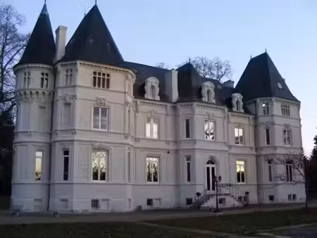 vente château 14 pièces 650 m² à ingrandes (86220)  4 305 000 €