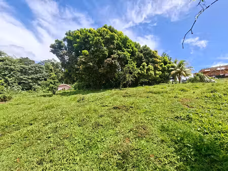vente terrain  5170.00m²  sainte
