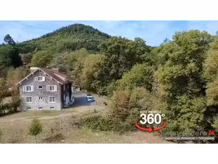 maison de 8 chambres de luxe en vente à saint-dié-des-vosges  france