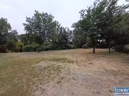 terrain