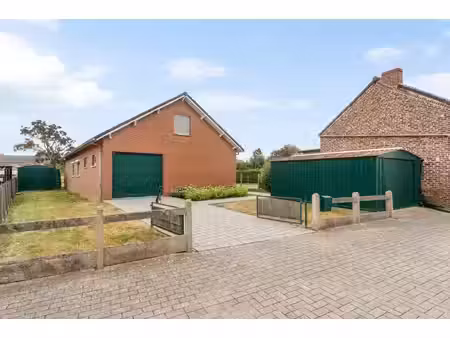 immo janssen-marres