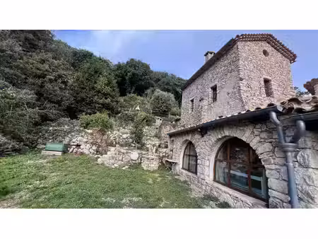 belle ferme avec gîte et piscine dans les cévennes
