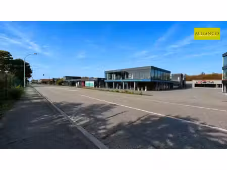 rixheim île napoléon | local professionnel 417 m2 - 20 000