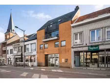 immeuble de rapport à vendre à lierbaan 16 beerzel (rbw76894)
