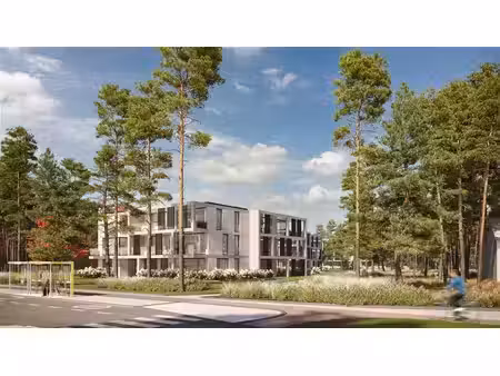 rez-de-chaussée à vendre à dennendreef 24 vosselaar (rbw77161)