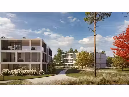 rez-de-chaussée à vendre à dennendreef 24 vosselaar (rbw77181)