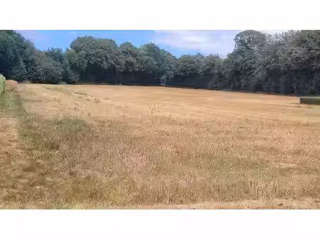 vente terrain 357 m² à plouigneau (29610)  36 000 €