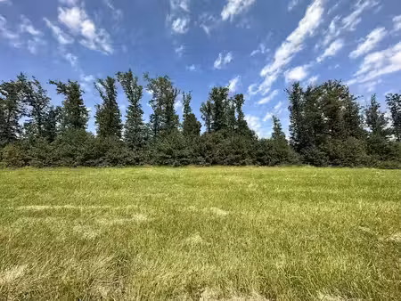 vente terrain 1067 m² à lixy (89140)  36 000 €
