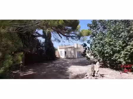 vente maison 2 pièces 46 m² la palme (11480)