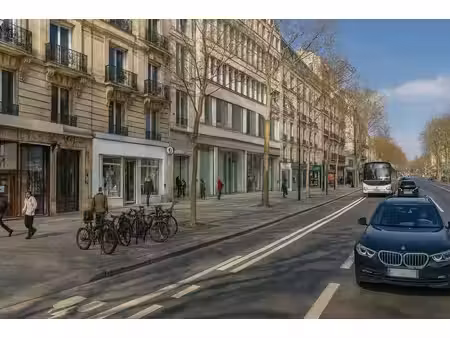 location commerce paris 75014 246m²