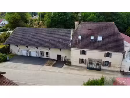 achat immeuble 563m² nevy les dole 39380