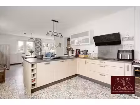 maison ifamiliale de 190m² avec grand terrain et sous-sol complet