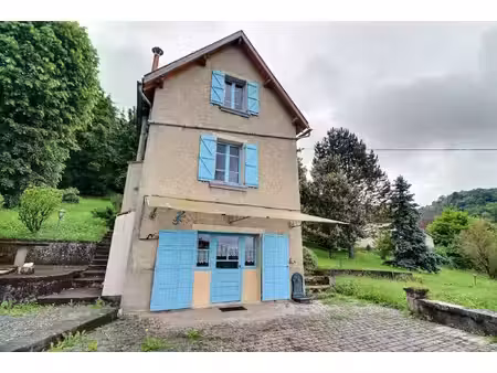 achat : maison (46100)