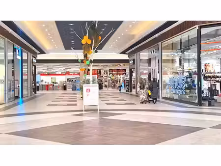 vente divers 2 pièces 170 m² sarrola-carcopino (20167)