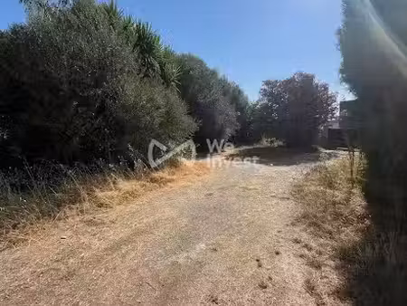 vente maison 8 pièces 200 m² à lucciana (20290)  618 000 €