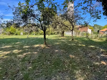 vente terrain 800 m² le tuzan (33125)