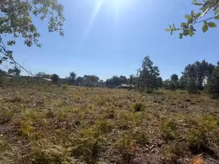vente terrain 420 m² salles (33770)