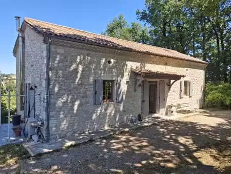 maison de luxe de 10 pièces en vente à villeréal  france