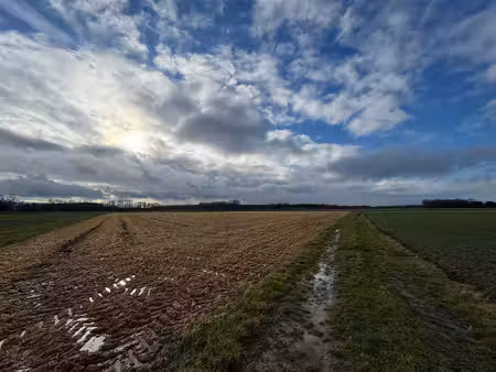 grond te koop in rotselaar