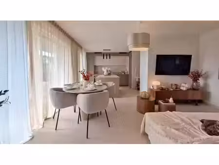 appartement à vendre 3 pièces blotzheim (68)- appartement 3 pièces avec terrasse  garage..