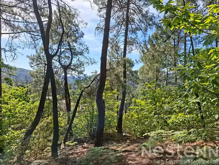 terrain à vendre de 24 800 m² à saint martin de boubaux - nestenn le collet-de-dèze